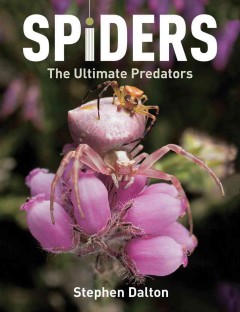 Spiders : the ultimate predators  Cover Image