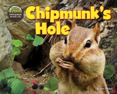 Chipmunk's hole  Cover Image