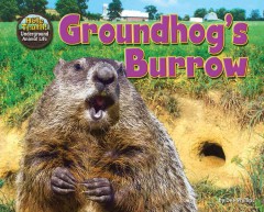 Groundhog's burrow  Cover Image