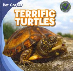 Terrific turtles  Cover Image