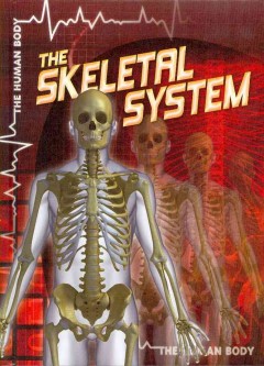 The skeletal system  Cover Image