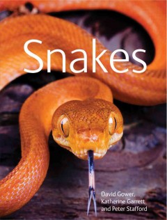 Snakes  Cover Image