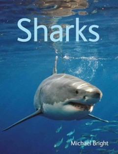 Sharks  Cover Image