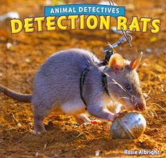 Detection rats  Cover Image