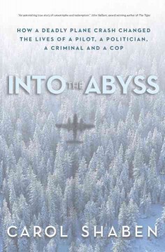 Into the abyss : how a deadly commuter plane crash changed the lives of a pilot, a politician, a criminal and a cop  Cover Image