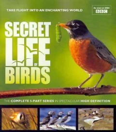 Secret life of birds Cover Image