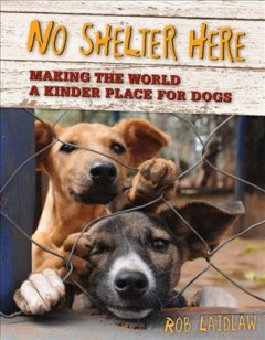 No shelter here : making the world a kinder place for dogs  Cover Image