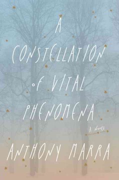 A constellation of vital phenomena : a novel  Cover Image
