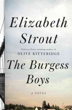 The Burgess boys : a novel  Cover Image