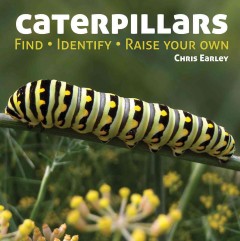 Caterpillars : find, identify, raise your own  Cover Image