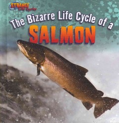 The bizarre life cycle of a salmon  Cover Image