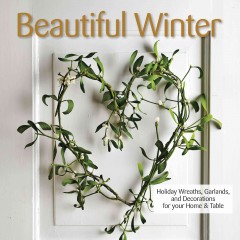 Beautiful winter  Cover Image