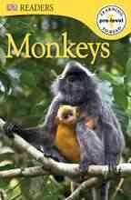 Monkeys Cover Image