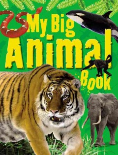 My big animal book  Cover Image
