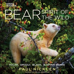 Bear : spirit of the wild  Cover Image