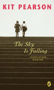 The sky is falling  Cover Image