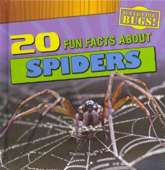 20 fun facts about spiders  Cover Image