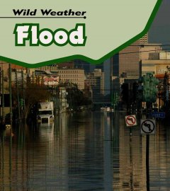 Flood  Cover Image