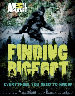 Finding Bigfoot : everything you need to know  Cover Image