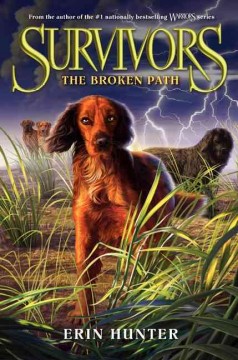 The broken path  Cover Image