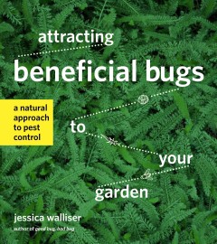 Attracting beneficial bugs to your garden : a natural approach to pest control  Cover Image