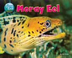 Moray eel  Cover Image