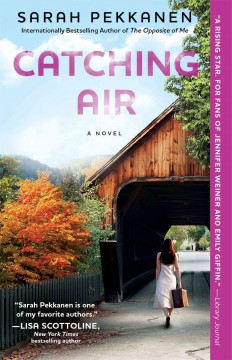 Catching air : a novel  Cover Image