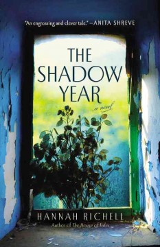 The shadow year  Cover Image