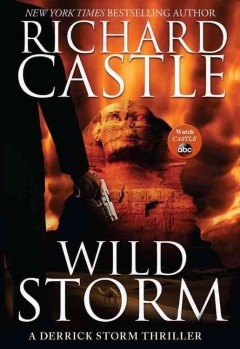 Wild Storm  Cover Image