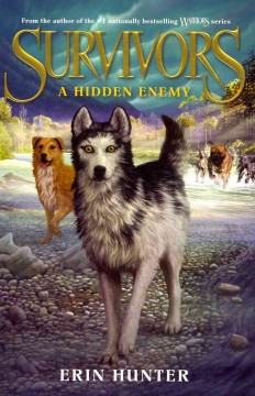 A hidden enemy  Cover Image