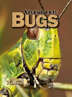 Bugs  Cover Image