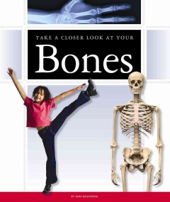 Take a closer look at your bones  Cover Image