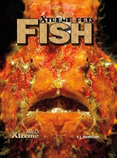 Fish  Cover Image