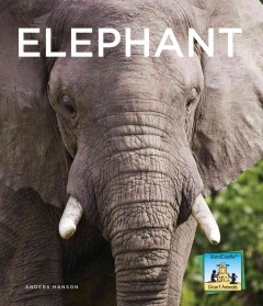 Elephant  Cover Image