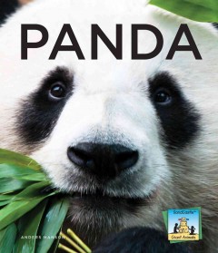 Panda  Cover Image