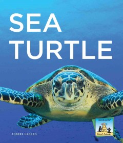 Sea turtle  Cover Image