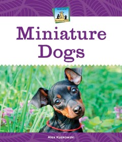 Miniature dogs  Cover Image
