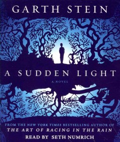 A sudden light Cover Image