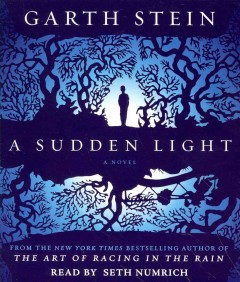 A sudden light Cover Image