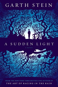 A sudden light  Cover Image