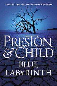 Blue Labyrinth  Cover Image