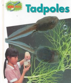 Tadpoles  Cover Image
