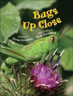 Bugs up close  Cover Image