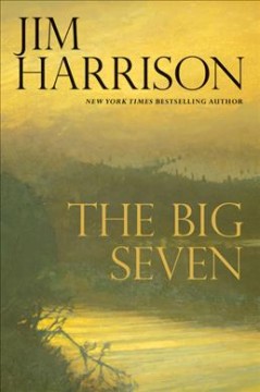 The big seven : a faux mystery  Cover Image