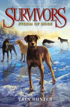 Storm of dogs  Cover Image