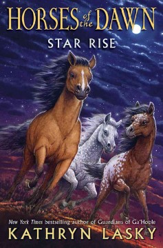 Star rise  Cover Image