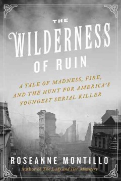 The wilderness of ruin : a tale of madness, fire, and the hunt for America's youngest serial killer  Cover Image
