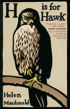 H is for hawk  Cover Image