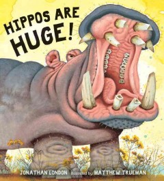 Hippos are huge!  Cover Image