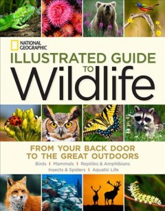 National Geographic illustrated guide to wildlife : from your backdoor to the great outdoors : mammals, birds, reptiles & amphibians, aquatic life, insects & spiders. Cover Image